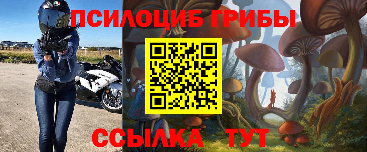 Карпинск  Галлюциногенные грибы прущие грибы  Вход с VPN 
