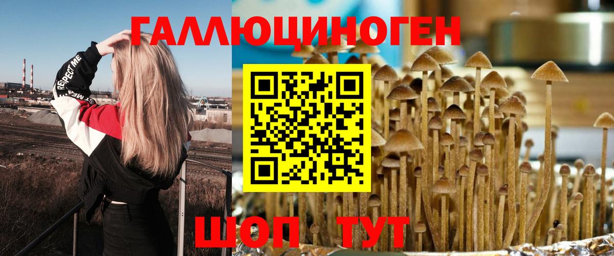 Псилоцибиновые грибы Magic Shrooms Карпинск