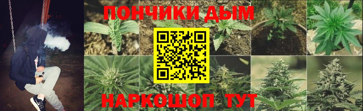 Бошки Шишки планчик  МАРИХУАНА конопля  Карпинск  Шишки марихуана конопля  Вход с VPN 
